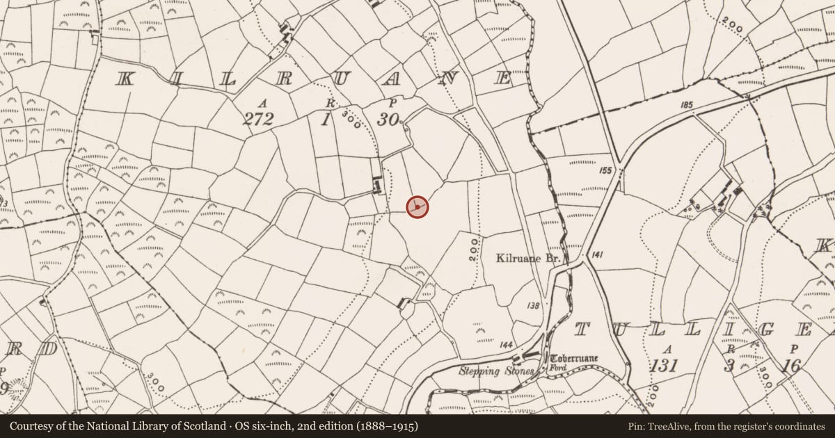 Ordnance Survey six-inch map, 2nd edition (1888–1915) covering the location of Burial ground, Kilruane, County Cork, with a pin at the register's coordinates