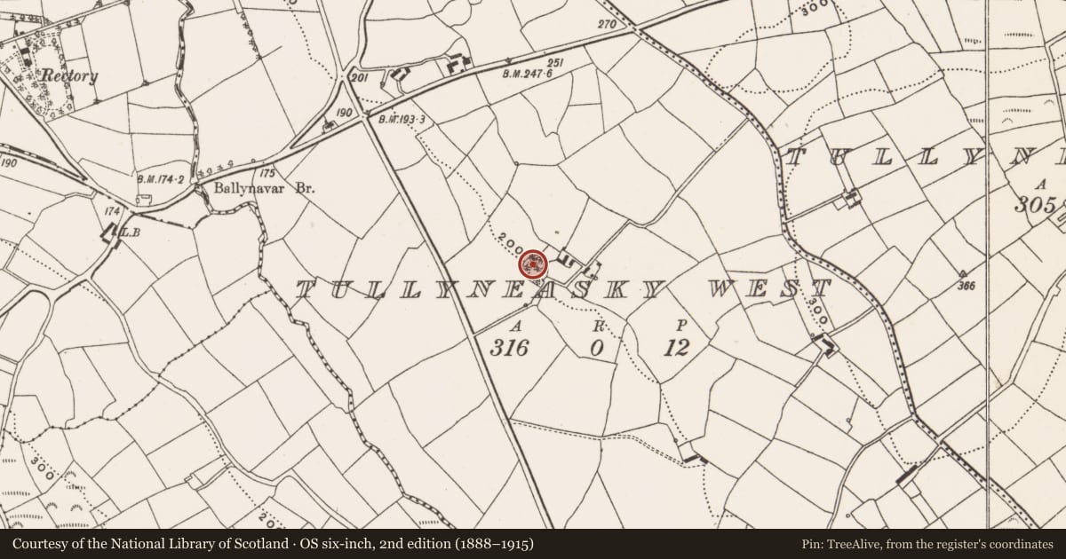 Ordnance Survey six-inch map, 2nd edition (1888–1915) covering the location of Ringfort - rath, Tullyneasky West, County Cork, with a pin at the register's coordinates