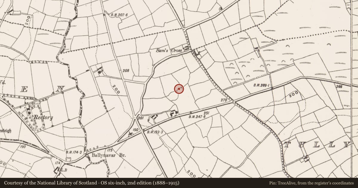 Ordnance Survey six-inch map, 2nd edition (1888–1915) covering the location of Ringfort - rath, Tullyneasky West, County Cork, with a pin at the register's coordinates