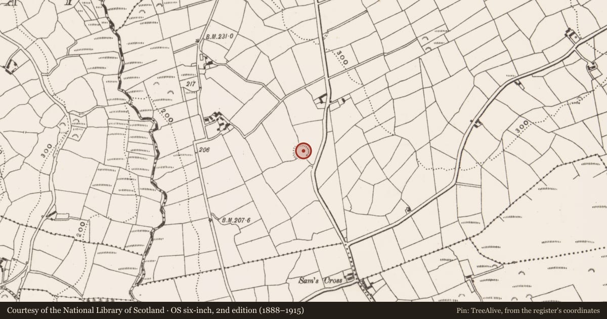 Ordnance Survey six-inch map, 2nd edition (1888–1915) covering the location of Ringfort - rath, Woodfield, County Cork, with a pin at the register's coordinates