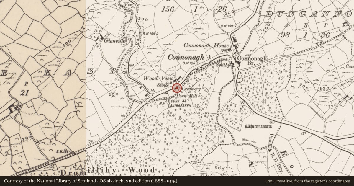 Ordnance Survey six-inch map, 2nd edition (1888–1915) covering the location of Mill - corn, Gortroe (Carbery E. (W.D) By., Kilmacabea Par.), County Cork, with a pin at the register's coordinates