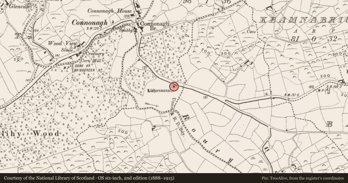 Ordnance Survey six-inch map, 2nd edition (1888–1915) covering the location of Ringfort - rath, Dungannon, County Cork, with a pin at the register's coordinates