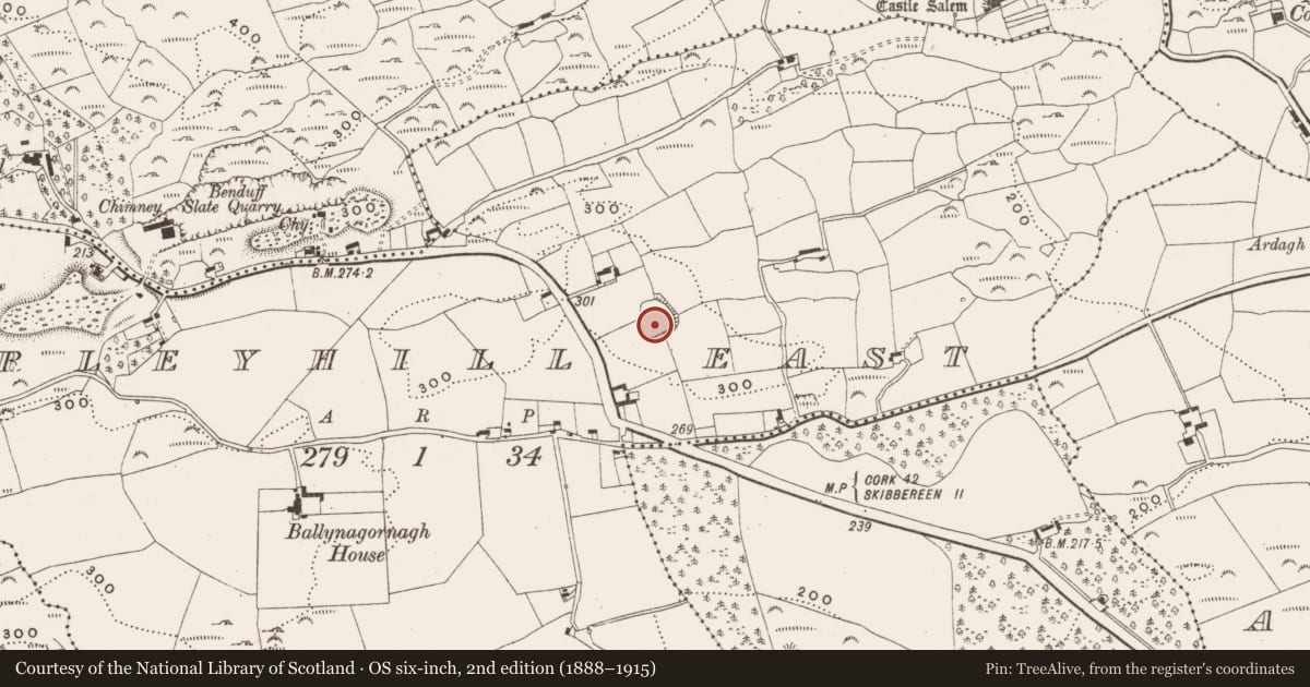 Ordnance Survey six-inch map, 2nd edition (1888–1915) covering the location of Ringfort - rath, Barleyhill East, County Cork, with a pin at the register's coordinates