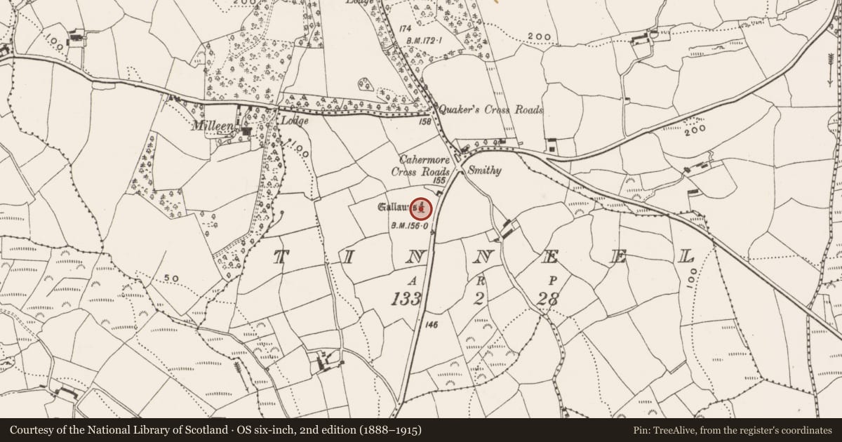 Ordnance Survey six-inch map, 2nd edition (1888–1915) covering the location of Anomalous stone group, Tinneel, County Cork, with a pin at the register's coordinates