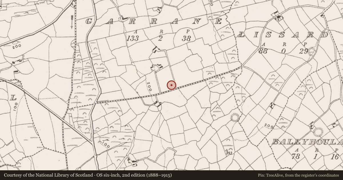 Ordnance Survey six-inch map, 2nd edition (1888–1915) covering the location of Ringfort - rath, Garrane, County Cork, with a pin at the register's coordinates