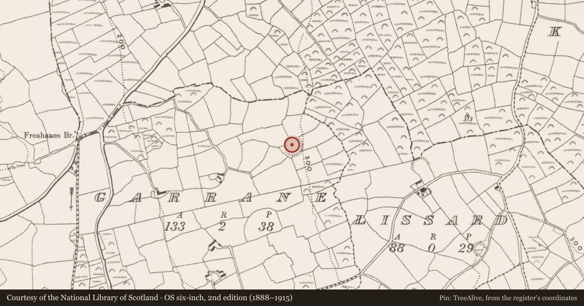 Ordnance Survey six-inch map, 2nd edition (1888–1915) covering the location of Ringfort - rath, Garrane, County Cork, with a pin at the register's coordinates