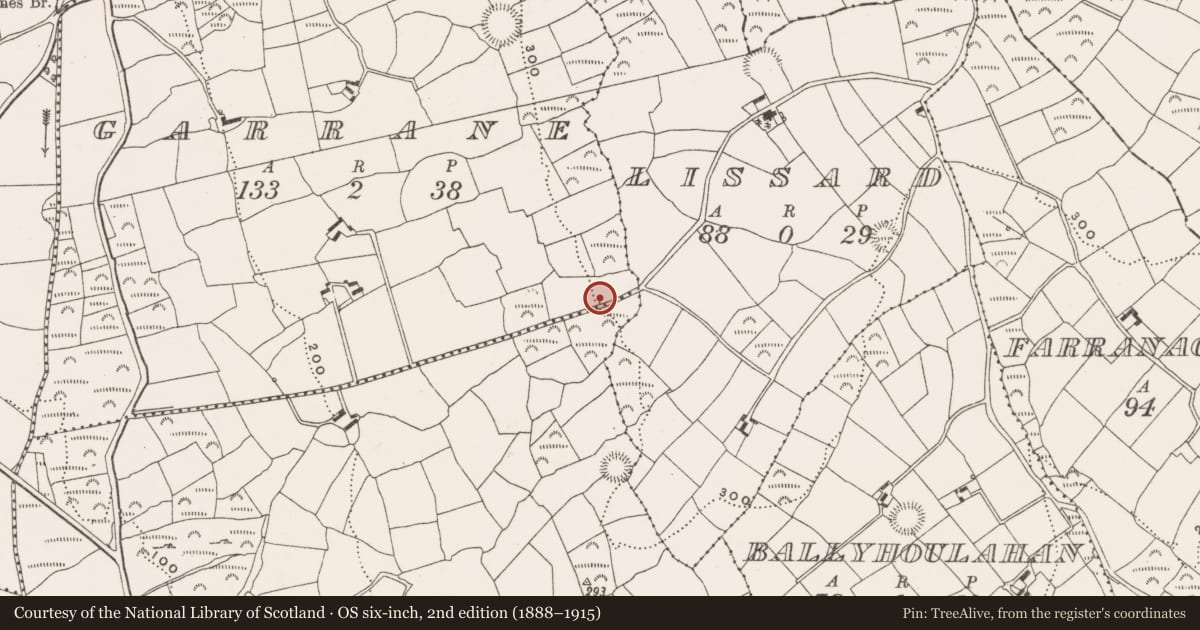 Ordnance Survey six-inch map, 2nd edition (1888–1915) covering the location of Ringfort - rath, Garrane, County Cork, with a pin at the register's coordinates
