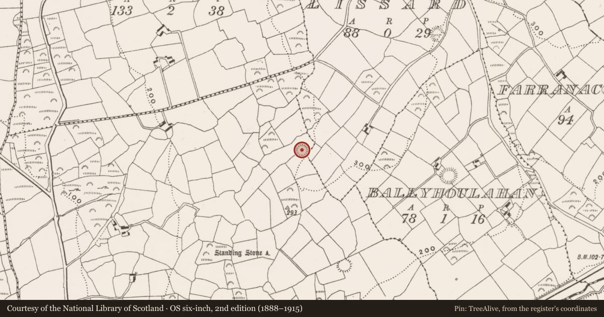 Ordnance Survey six-inch map, 2nd edition (1888–1915) covering the location of Ringfort - rath, Bohonagh, County Cork, with a pin at the register's coordinates