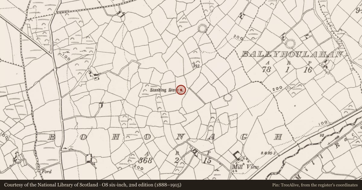 Ordnance Survey six-inch map, 2nd edition (1888–1915) covering the location of Standing stone, Bohonagh, County Cork, with a pin at the register's coordinates
