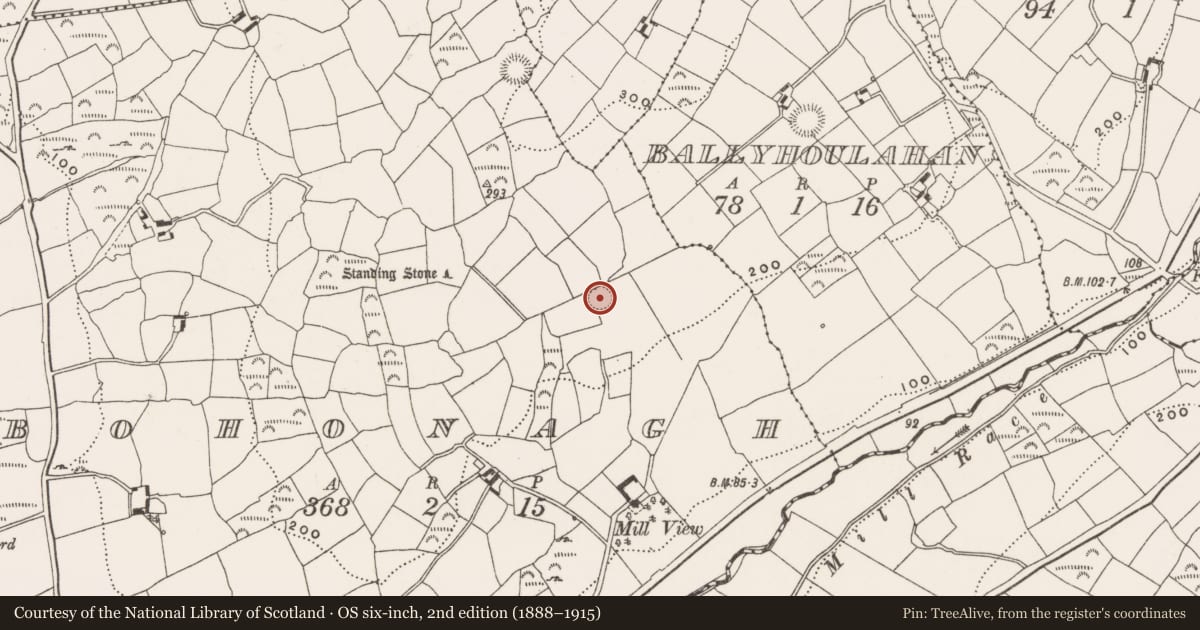 Ordnance Survey six-inch map, 2nd edition (1888–1915) covering the location of Ringfort - rath, Bohonagh, County Cork, with a pin at the register's coordinates