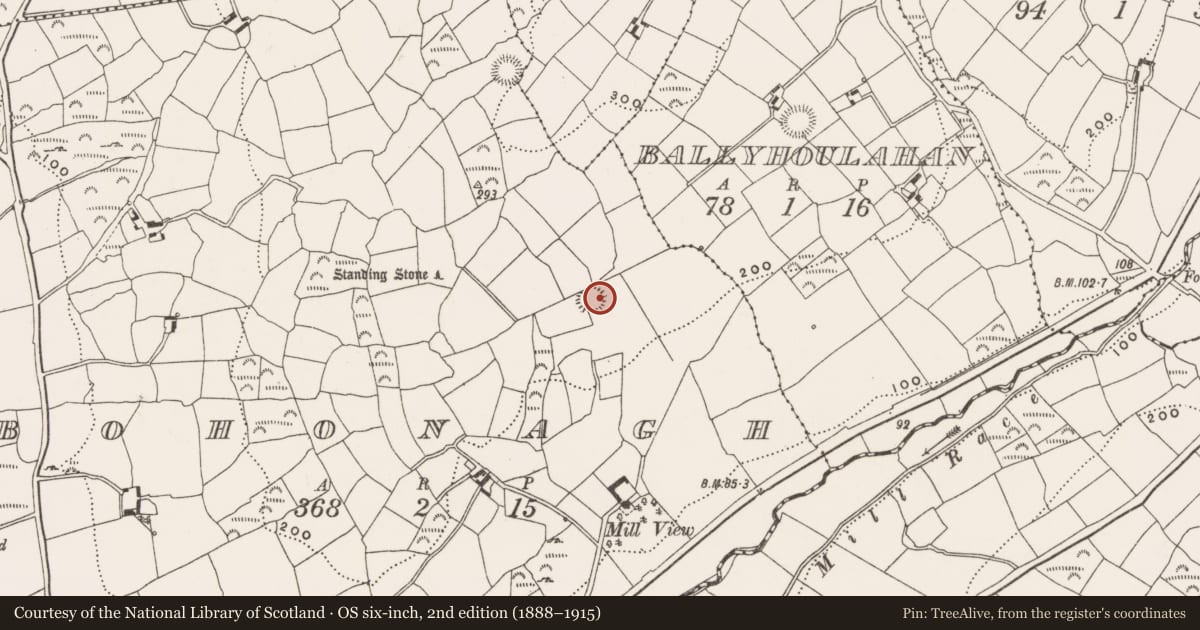 Ordnance Survey six-inch map, 2nd edition (1888–1915) covering the location of Souterrain, Bohonagh, County Cork, with a pin at the register's coordinates