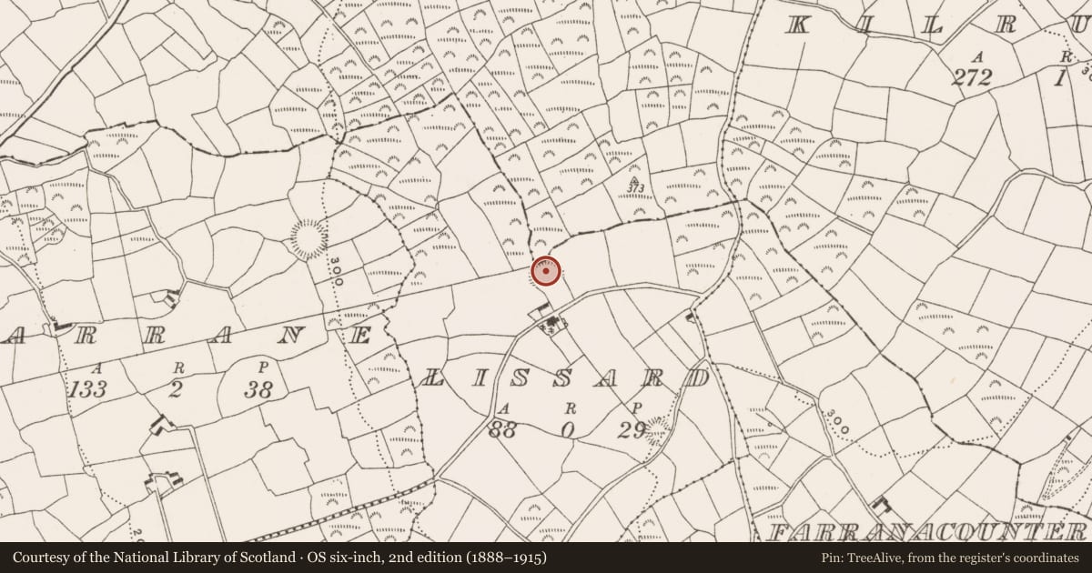 Ordnance Survey six-inch map, 2nd edition (1888–1915) covering the location of Ringfort - rath, Lissard, County Cork, with a pin at the register's coordinates