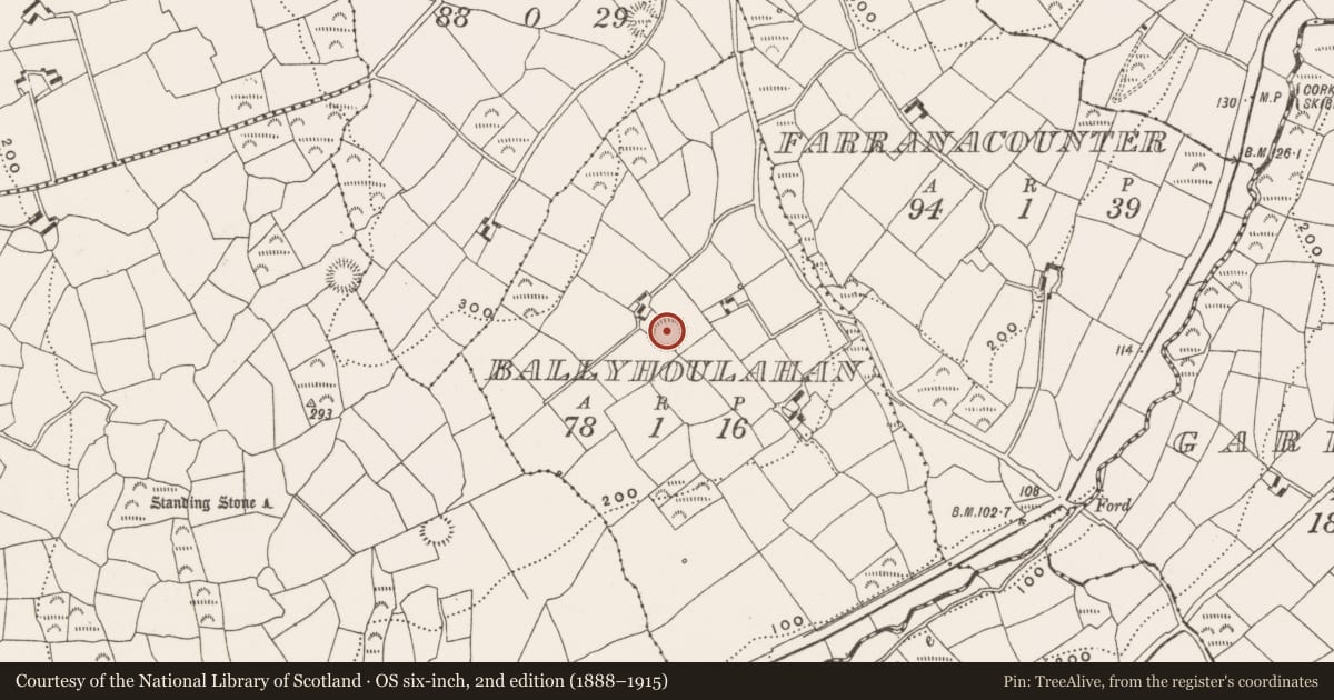 Ordnance Survey six-inch map, 2nd edition (1888–1915) covering the location of Ringfort - rath, Ballyhoulahan, County Cork, with a pin at the register's coordinates