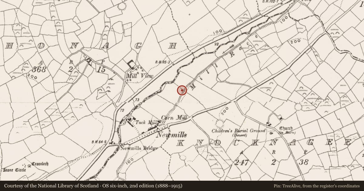 Ordnance Survey six-inch map, 2nd edition (1888–1915) covering the location of Boulder-burial, Knocknageehy, County Cork, with a pin at the register's coordinates