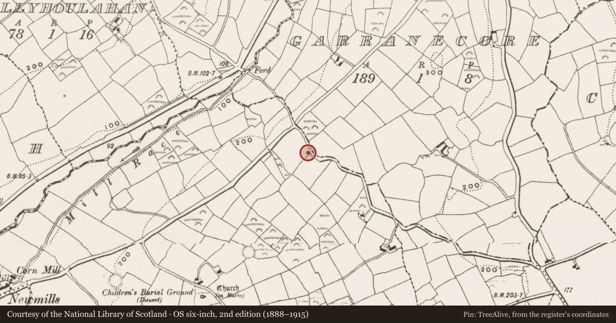 Ordnance Survey six-inch map, 2nd edition (1888–1915) covering the location of Cupmarked stone, Knocknageehy, County Cork, with a pin at the register's coordinates