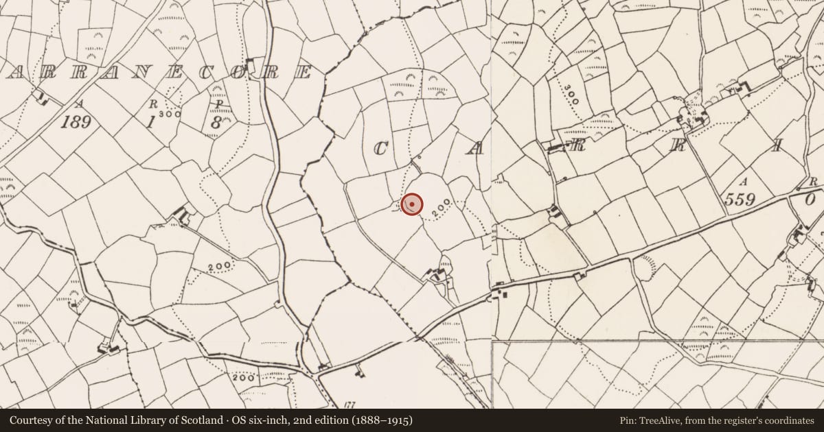 Ordnance Survey six-inch map, 2nd edition (1888–1915) covering the location of Souterrain, Carrigroe, County Cork, with a pin at the register's coordinates