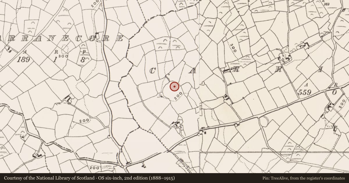 Ordnance Survey six-inch map, 2nd edition (1888–1915) covering the location of Church, Carrigroe, County Cork, with a pin at the register's coordinates