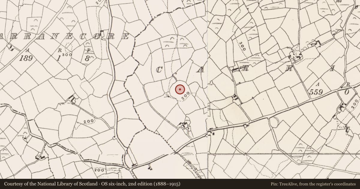 Ordnance Survey six-inch map, 2nd edition (1888–1915) covering the location of Cairn - unclassified, Carrigroe, County Cork, with a pin at the register's coordinates