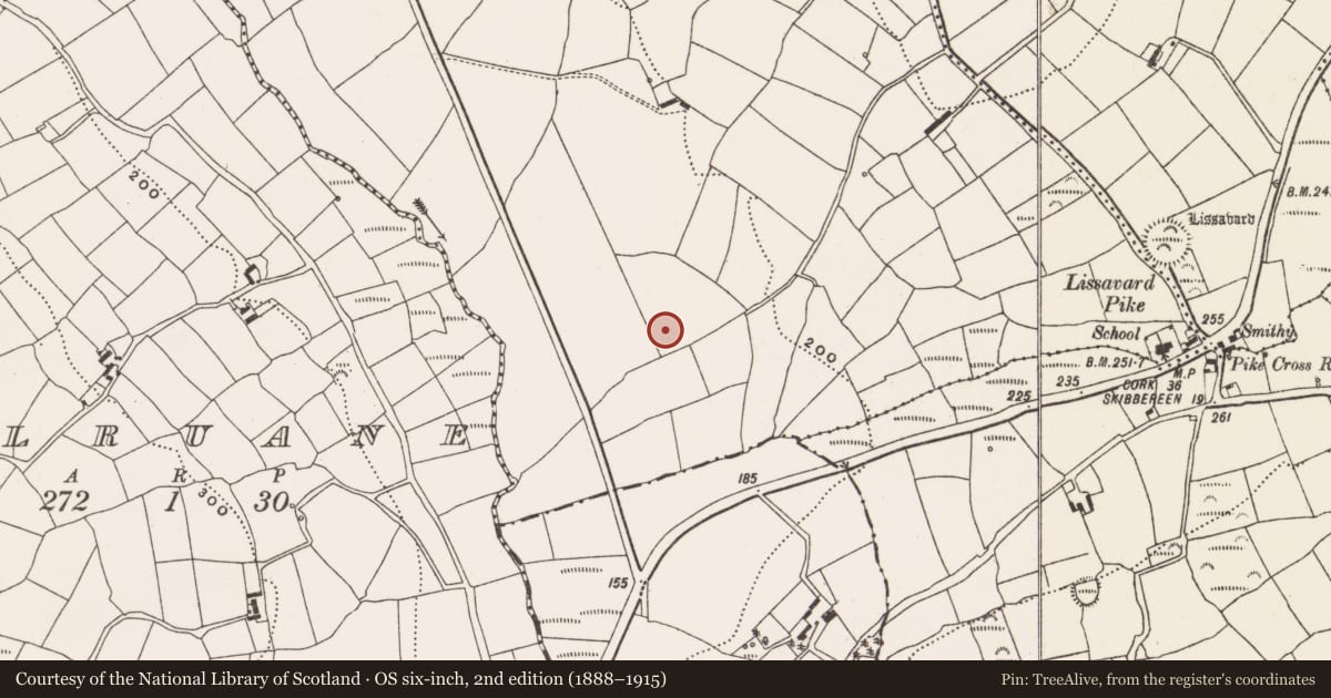 Ordnance Survey six-inch map, 2nd edition (1888–1915) covering the location of Souterrain, Tullyneasky West, County Cork, with a pin at the register's coordinates
