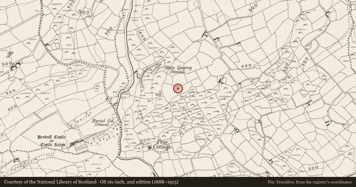 Ordnance Survey six-inch map, 2nd edition (1888–1915) covering the location of Ringfort - cashel, Froe, County Cork, with a pin at the register's coordinates