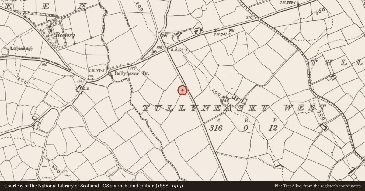Ordnance Survey six-inch map, 2nd edition (1888–1915) covering the location of Ringfort - rath, Tullyneasky West, County Cork, with a pin at the register's coordinates