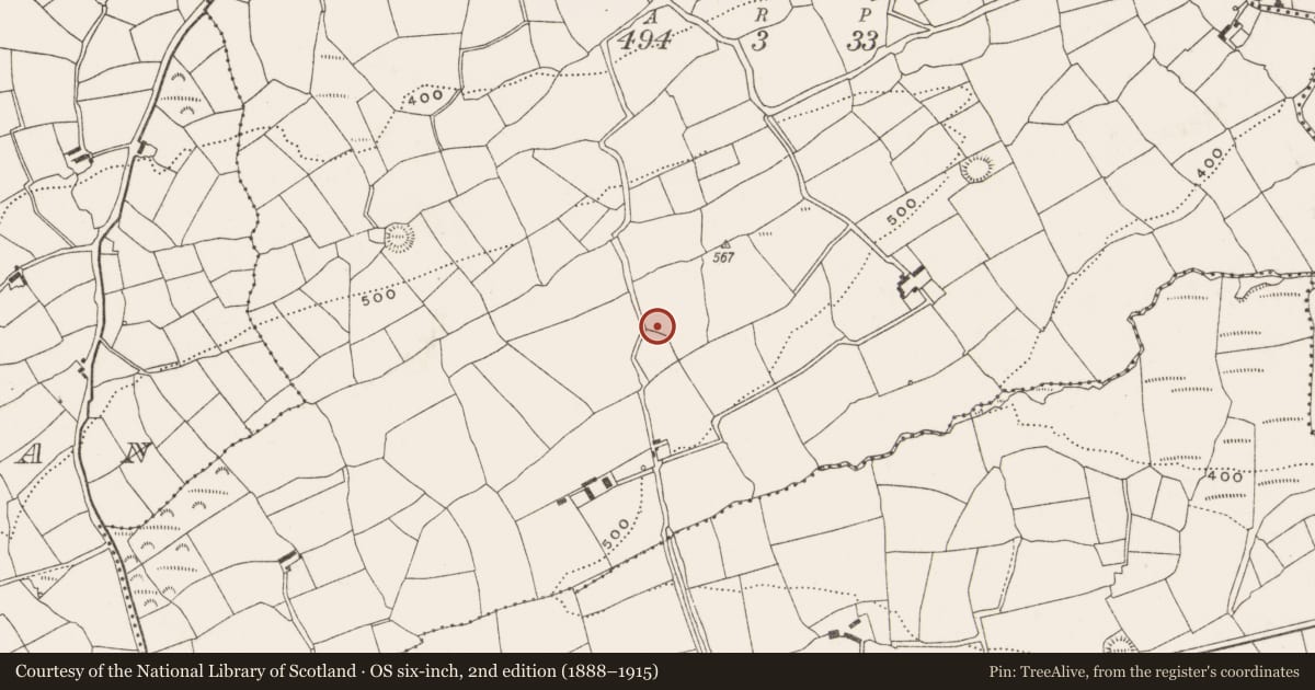 Ordnance Survey six-inch map, 2nd edition (1888–1915) covering the location of Standing stone - pair, Sarue, County Cork, with a pin at the register's coordinates