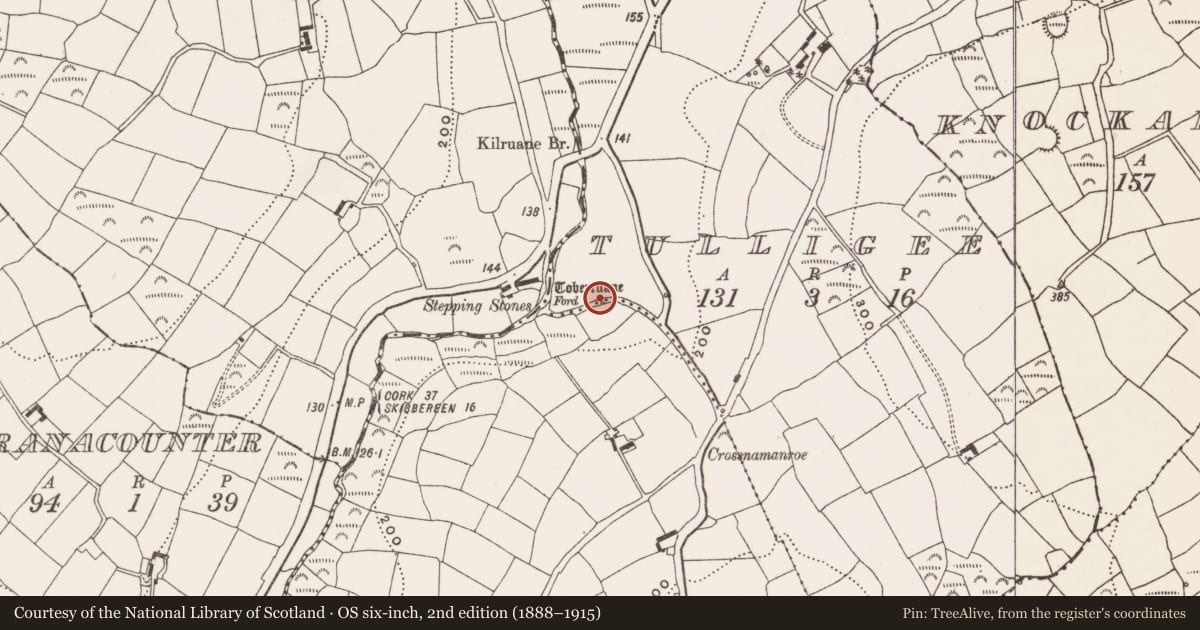 Ordnance Survey six-inch map, 2nd edition (1888–1915) covering the location of Ritual site - holy well, Garranecore, County Cork, with a pin at the register's coordinates