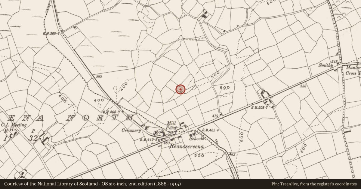 Ordnance Survey six-inch map, 2nd edition (1888–1915) covering the location of Souterrain, Maulyregan, County Cork, with a pin at the register's coordinates