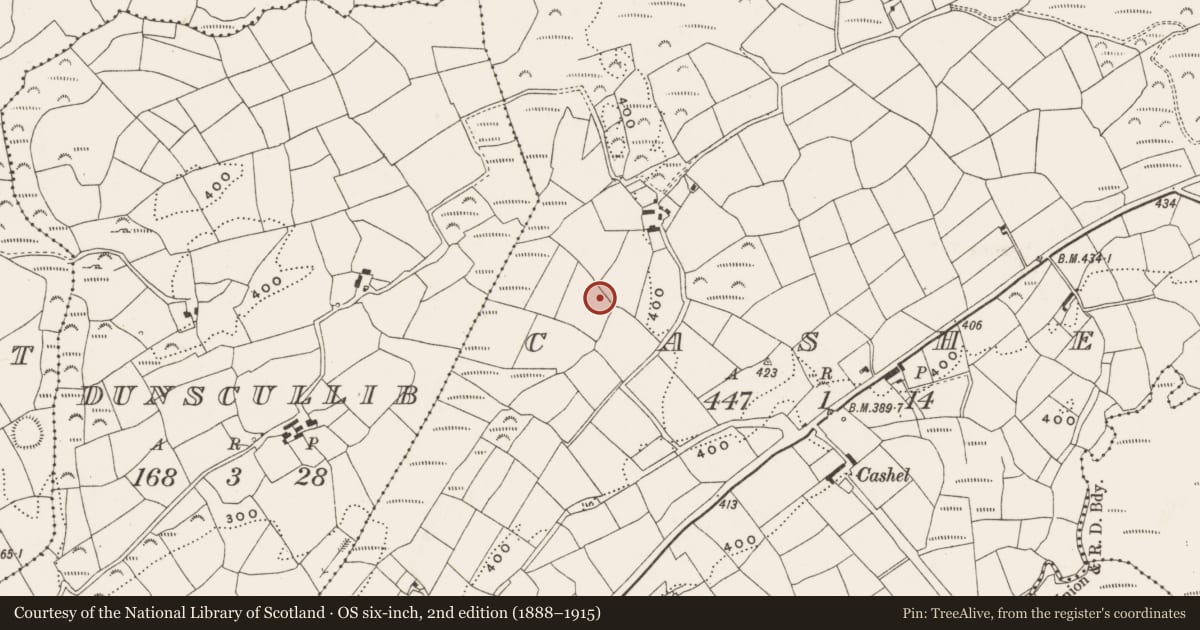 Ordnance Survey six-inch map, 2nd edition (1888–1915) covering the location of Mound, Cashel, County Cork, with a pin at the register's coordinates