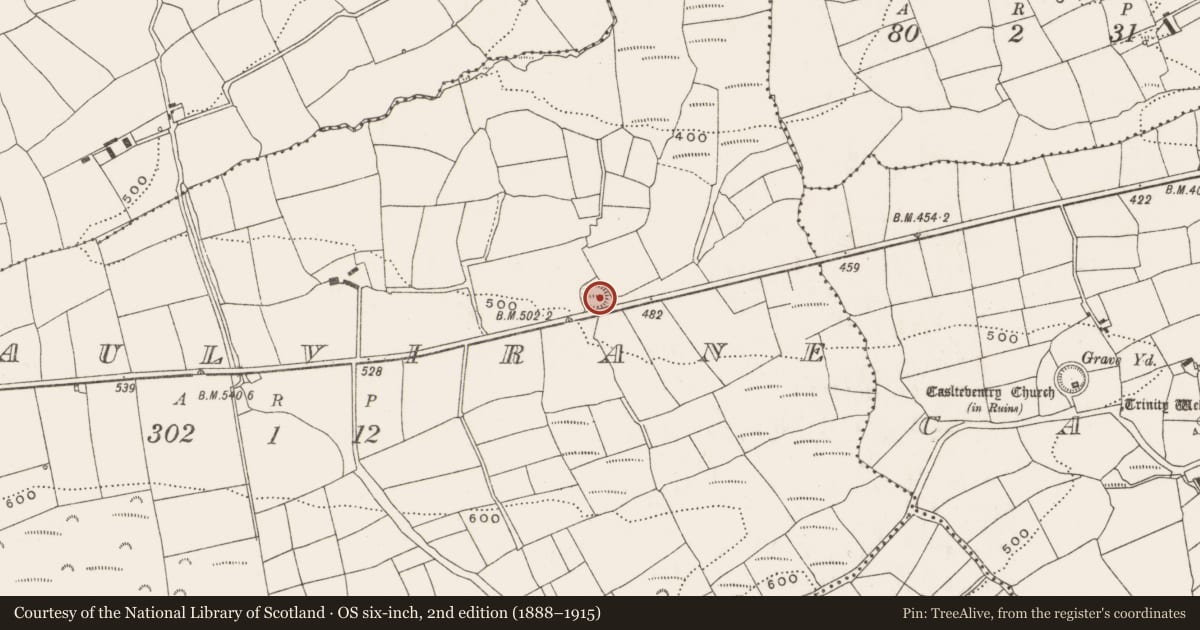 Ordnance Survey six-inch map, 2nd edition (1888–1915) covering the location of Souterrain, Maulvirane, County Cork, with a pin at the register's coordinates