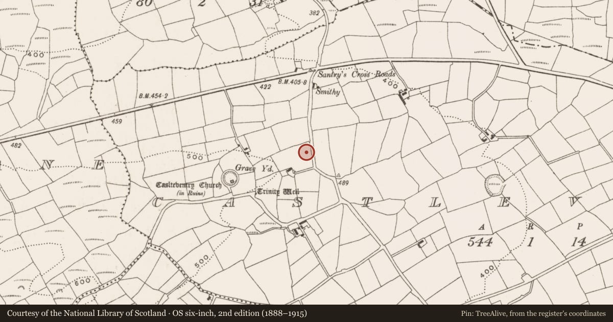 Ordnance Survey six-inch map, 2nd edition (1888–1915) covering the location of Ringfort - rath, Castleventry, County Cork, with a pin at the register's coordinates