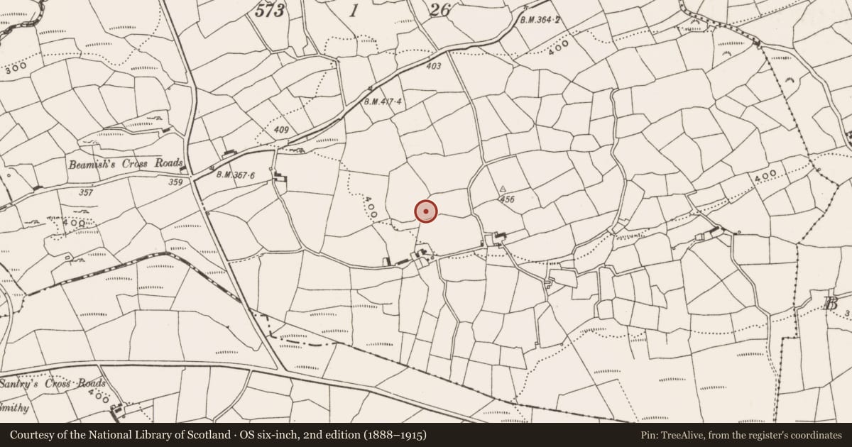 Ordnance Survey six-inch map, 2nd edition (1888–1915) covering the location of Ringfort - rath, Bealad West, County Cork, with a pin at the register's coordinates