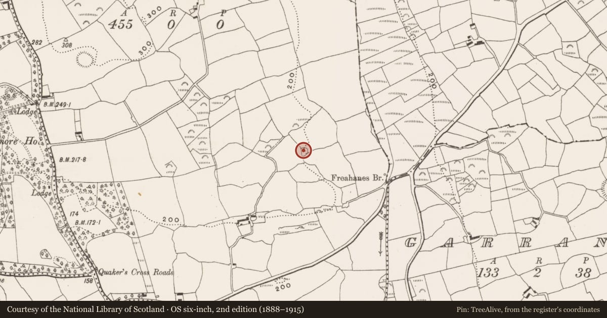 Ordnance Survey six-inch map, 2nd edition (1888–1915) covering the location of Souterrain, Freahanes, County Cork, with a pin at the register's coordinates