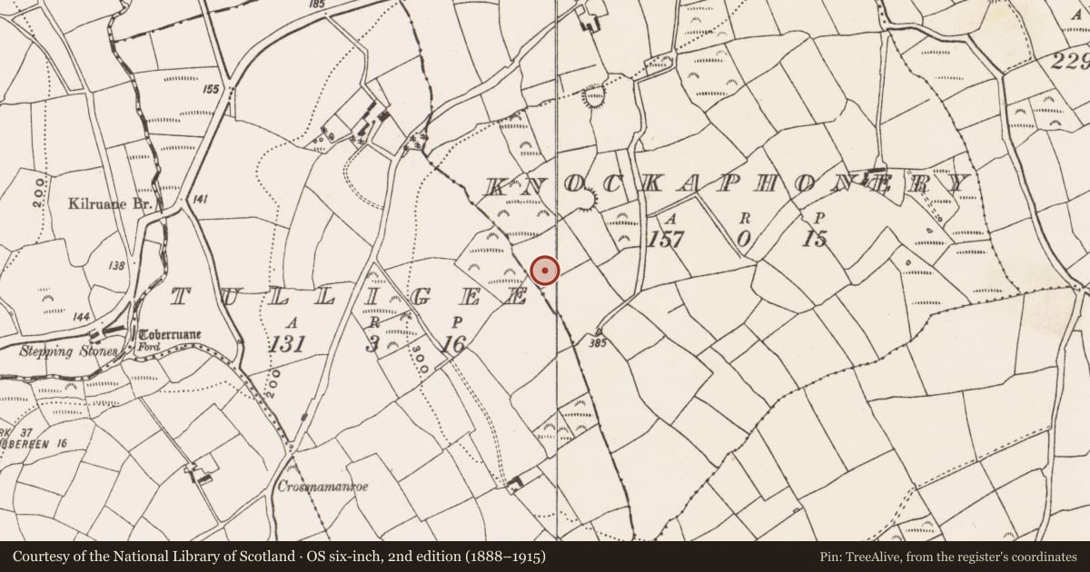 Ordnance Survey six-inch map, 2nd edition (1888–1915) covering the location of Mass-rock, Knockaphonery, County Cork, with a pin at the register's coordinates