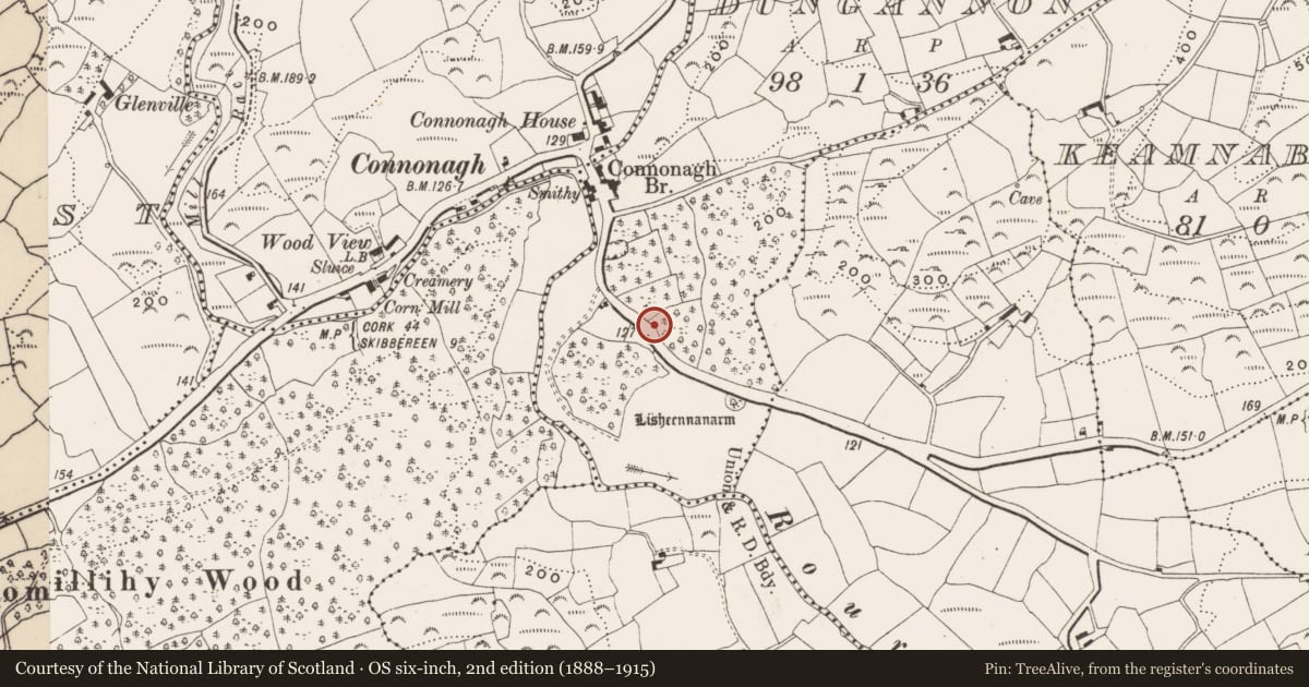 Ordnance Survey six-inch map, 2nd edition (1888–1915) covering the location of Mass-rock, Dungannon, County Cork, with a pin at the register's coordinates