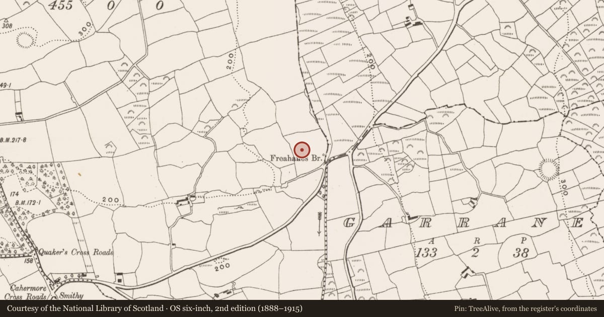 Ordnance Survey six-inch map, 2nd edition (1888–1915) covering the location of Standing stone, Freahanes, County Cork, with a pin at the register's coordinates