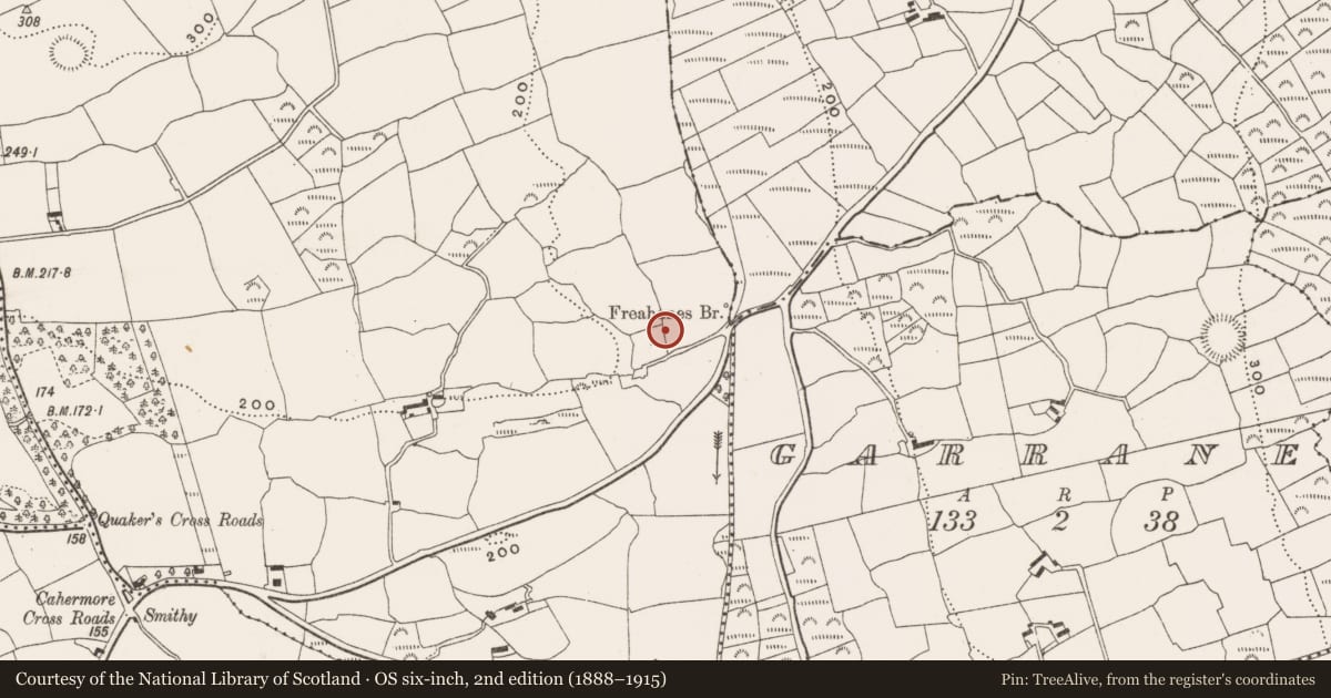 Ordnance Survey six-inch map, 2nd edition (1888–1915) covering the location of Megalithic structure, Freahanes, County Cork, with a pin at the register's coordinates