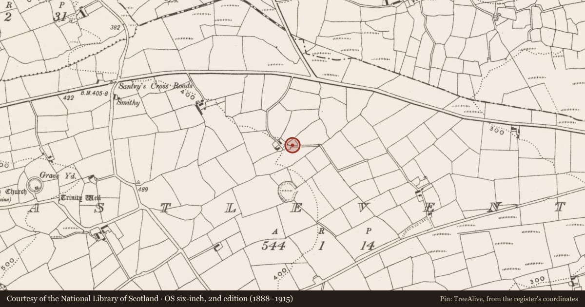 Ordnance Survey six-inch map, 2nd edition (1888–1915) covering the location of Souterrain, Castleventry, County Cork, with a pin at the register's coordinates