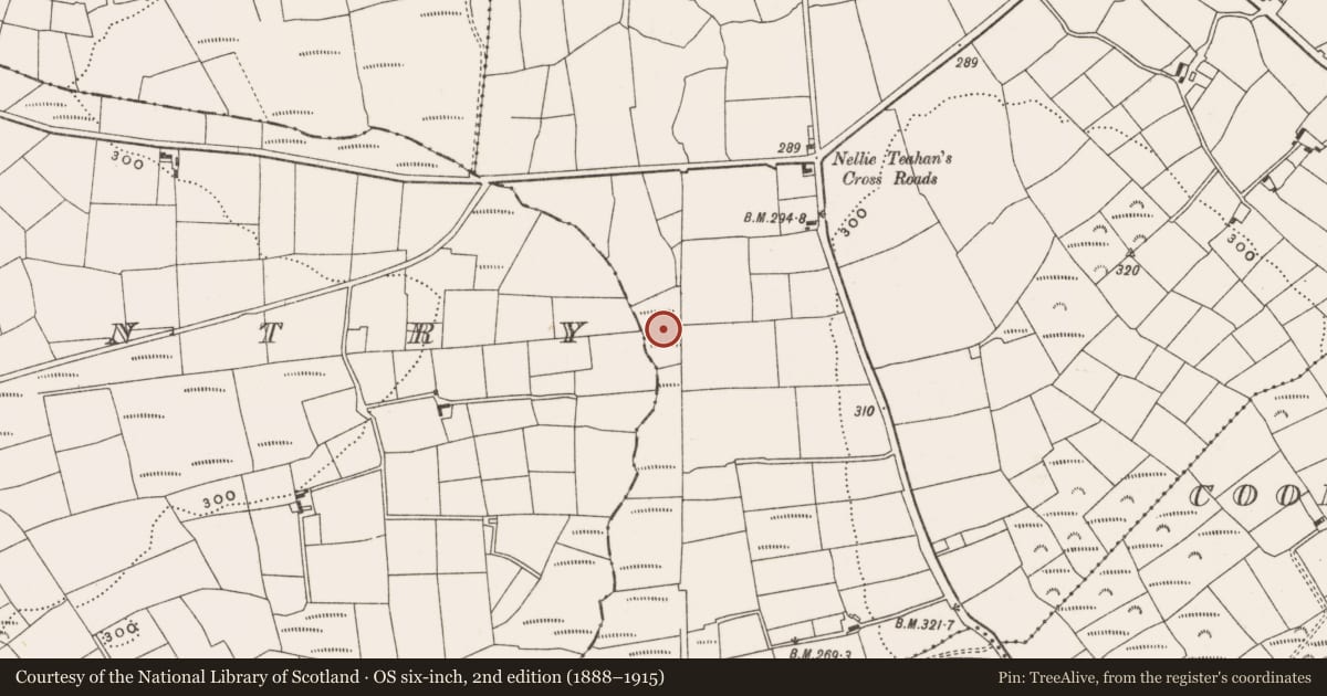 Ordnance Survey six-inch map, 2nd edition (1888–1915) covering the location of Water mill - horizontal-wheeled, Bealad East, County Cork, with a pin at the register's coordinates
