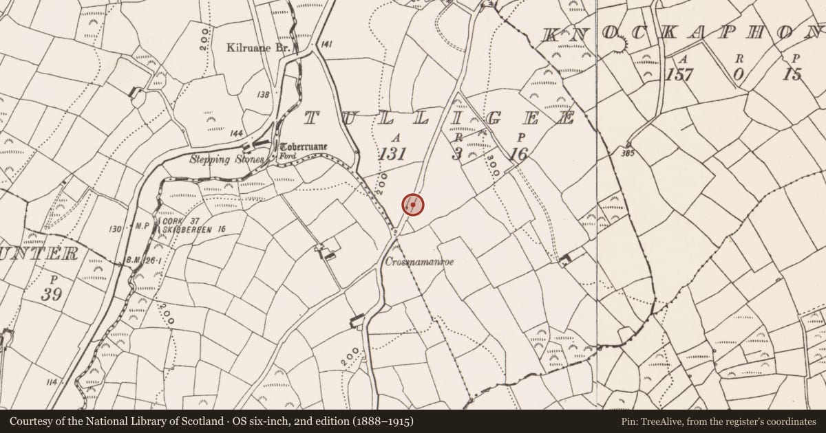 Ordnance Survey six-inch map, 2nd edition (1888–1915) covering the location of Burnt mound, Tulligee, County Cork, with a pin at the register's coordinates