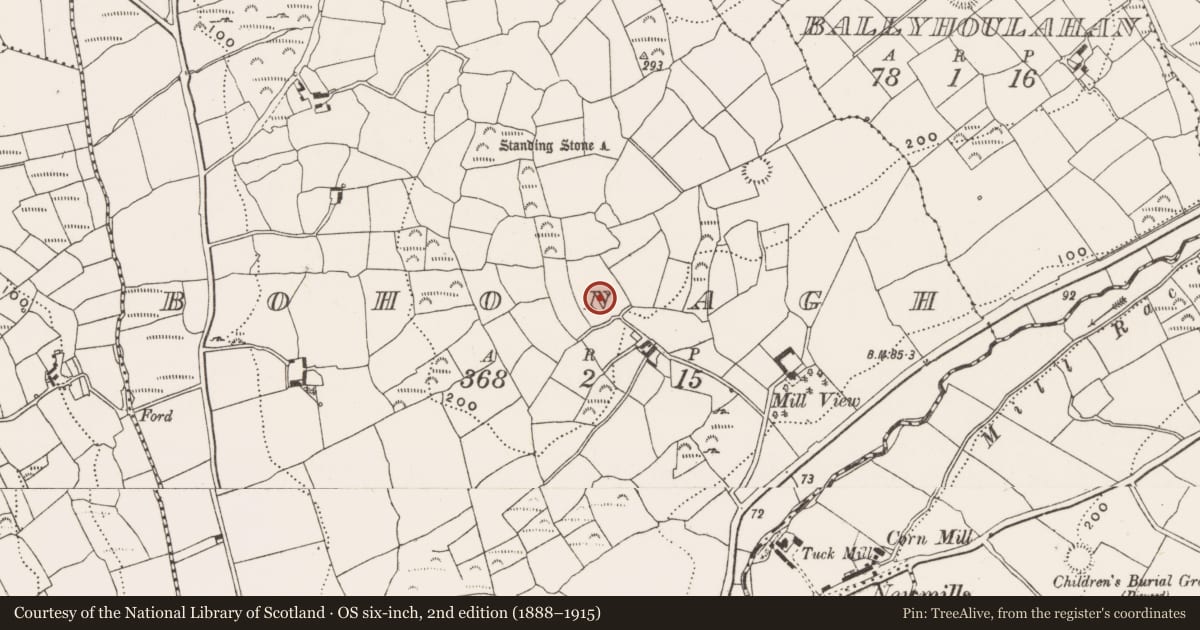 Ordnance Survey six-inch map, 2nd edition (1888–1915) covering the location of Standing stone, Bohonagh, County Cork, with a pin at the register's coordinates