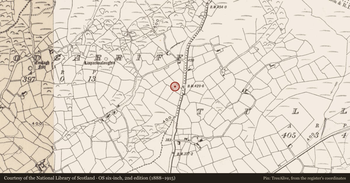 Ordnance Survey six-inch map, 2nd edition (1888–1915) covering the location of Standing stone, Carhoogarriff, County Cork, with a pin at the register's coordinates