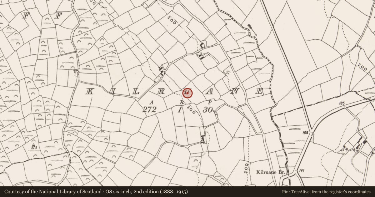 Ordnance Survey six-inch map, 2nd edition (1888–1915) covering the location of Burnt mound, Kilruane, County Cork, with a pin at the register's coordinates
