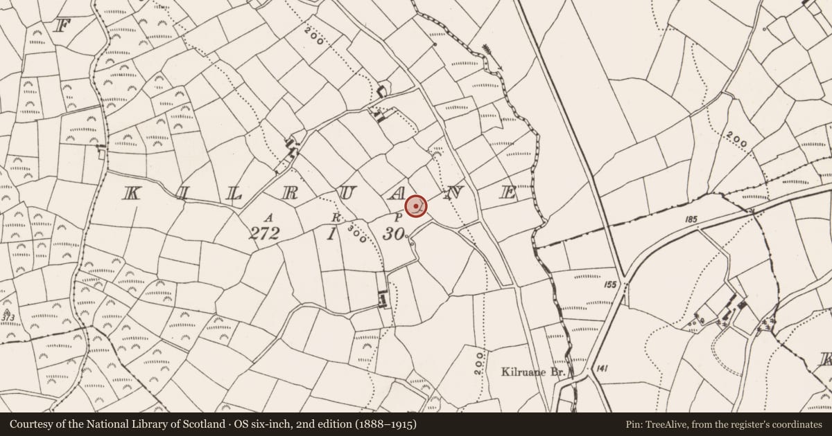 Ordnance Survey six-inch map, 2nd edition (1888–1915) covering the location of Enclosure, Kilruane, County Cork, with a pin at the register's coordinates