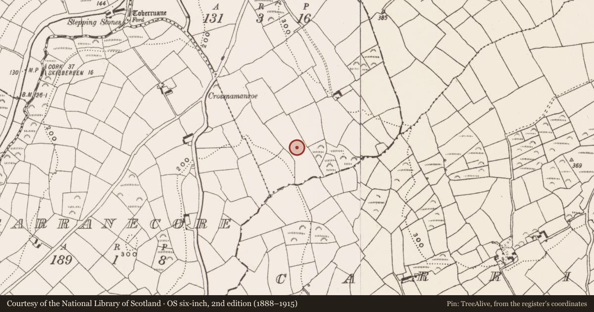 Ordnance Survey six-inch map, 2nd edition (1888–1915) covering the location of Burnt mound, Tulligee, County Cork, with a pin at the register's coordinates