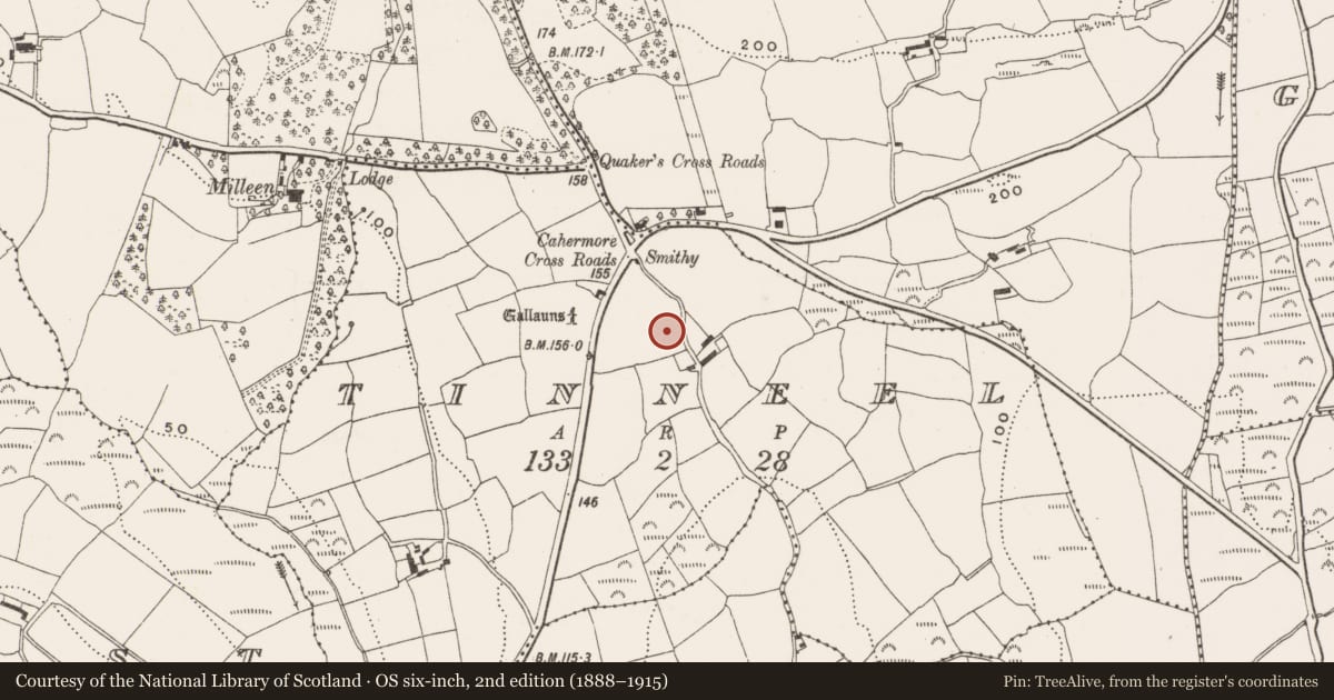 Ordnance Survey six-inch map, 2nd edition (1888–1915) covering the location of Excavation - miscellaneous, Tinneel, County Cork, with a pin at the register's coordinates