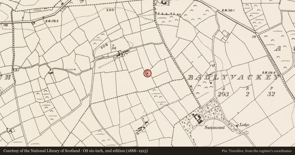 Ordnance Survey six-inch map, 2nd edition (1888–1915) covering the location of Ringfort - rath, Woodfield, County Cork, with a pin at the register's coordinates