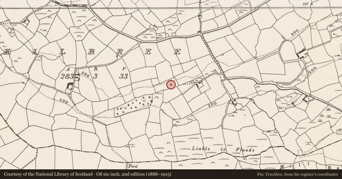Ordnance Survey six-inch map, 2nd edition (1888–1915) covering the location of Burial ground, Kilbree, County Cork, with a pin at the register's coordinates