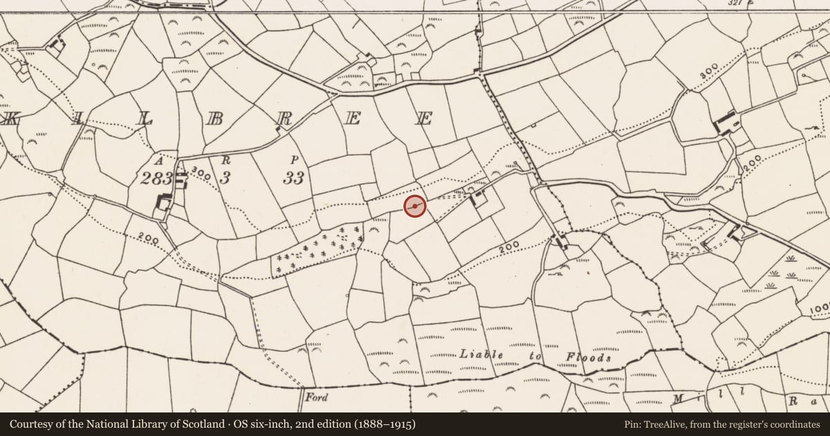 Ordnance Survey six-inch map, 2nd edition (1888–1915) covering the location of Bullaun stone, Kilbree, County Cork, with a pin at the register's coordinates