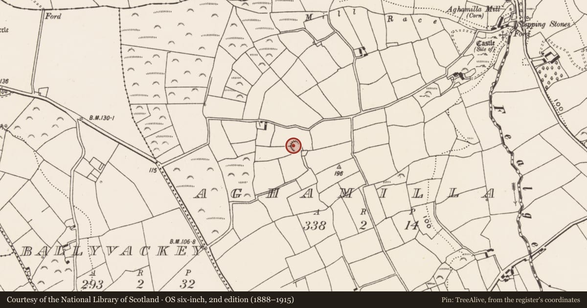 Ordnance Survey six-inch map, 2nd edition (1888–1915) covering the location of Ringfort - rath, Aghamilla, County Cork, with a pin at the register's coordinates